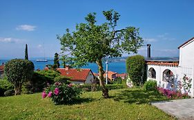 Apartma Ika