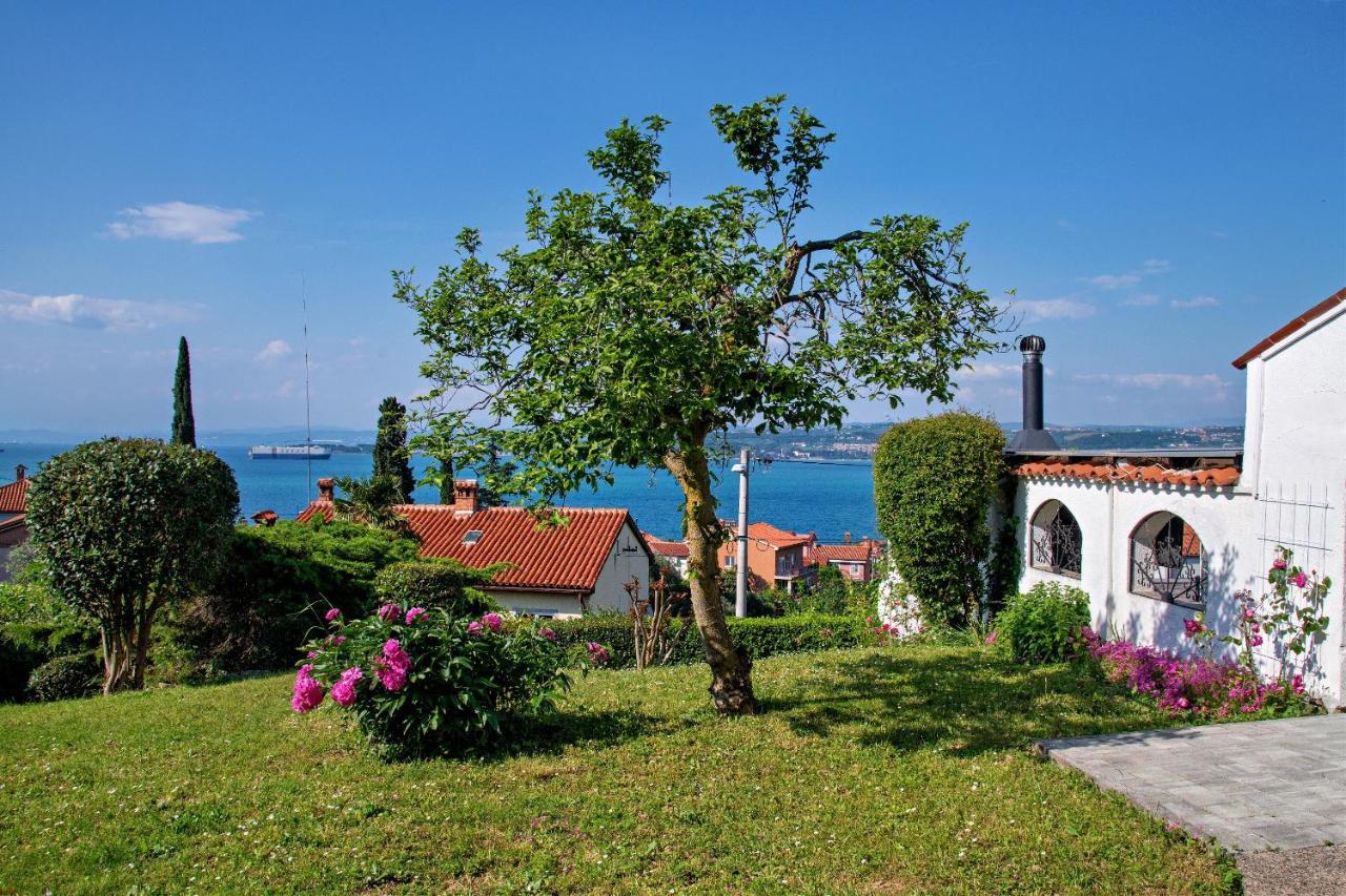 Apartmán Apartma Ika Koper Exteriér fotografie